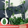 thumbnail image 4 of DPTALR 20PCS Plant Climbing Wall Fixture Clips,Invisible Wall Vines Fixture Wall Hook, 4 of 9