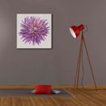 thumbnail image 6 of Epic Graffiti 'Floral Portrait on Linen II' by Tim O'Toole, Canvas Wall Art, 26"x26", 6 of 8
