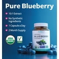 thumbnail image 5 of Pure Co Certified Organic Blueberry Extract Capsules - High Potency 10:1 Blueberry Supplement with 5000mg Herbal Equivalent for Wellness Brain & Immune Support - 60 Capsules, 5 of 8