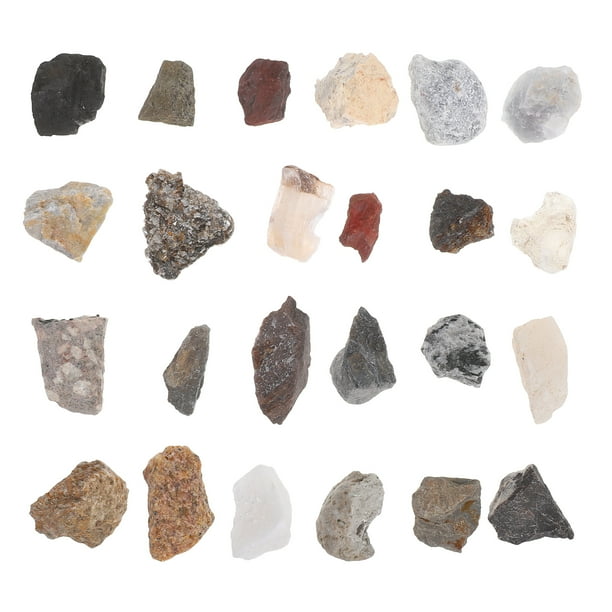 24 colecciones de rocas para niños: Kit educativo de recolección de minerales - Ejemplares de piedra natural en caja de exhibición para la enseñanza de geología y la exploración científica