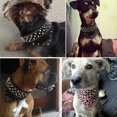thumbnail image 3 of Collar de perro de cuero YONGSHENG Negro 2 de ancho ajuste con tachuelas y pinchos tamaño L, 3 of 3