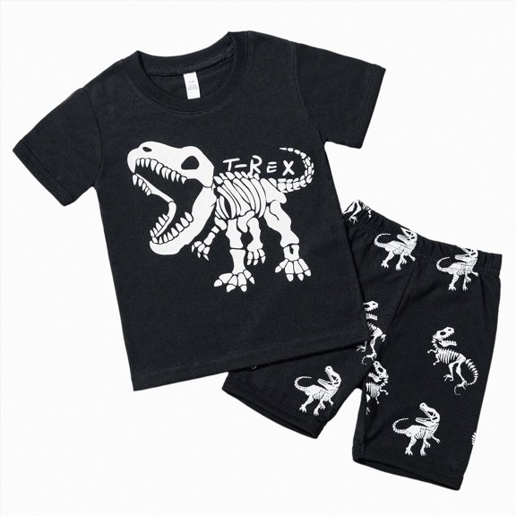 eczipvz Toddler Kids Baby Boys Dinosaur Outfits Cotton Kids Clothes Black 2-3 Years