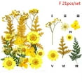 thumbnail image 6 of 24PCS Pressed Flower Mixed Dried Flowers DIY Art Floral Decors Collection Gift, 6 of 7