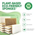 thumbnail image 2 of Paquete de 10 esponjas de cocina biodegradables y naturales Airnex, 2 of 6