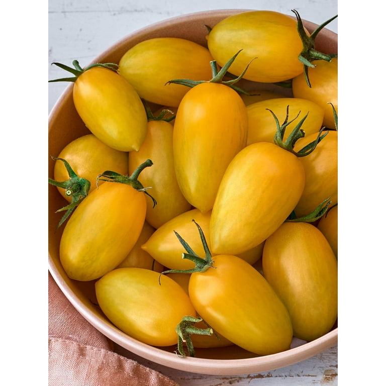 Burpee Bliss Hybrid Tomato, Annual Vegetable Seed, Full Sun