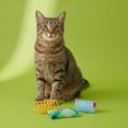 thumbnail image 2 of Vibrant Life Rolling Springs Cat Toys, 3 Pack, 2 of 8