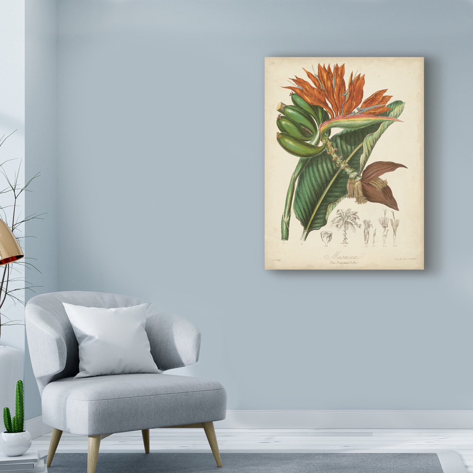 Trademark Fine Art 'Twining Botanicals III' Canvas Art by Elizabeth Twining