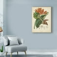 thumbnail image 3 of Trademark Fine Art 'Twining Botanicals III' Canvas Art by Elizabeth Twining, 3 of 4