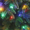 thumbnail image 4 of Holiday Stuff Company 6 Foot Real Feel Forest Fir Slim Christmas Tree, 4 of 5