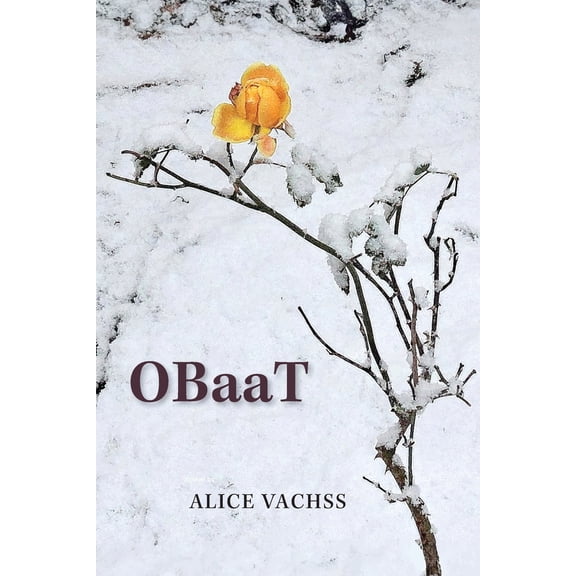 Pre-Owned OBaaT - A Novel: One Bully at a Time (Paperback) 0996855440 9780996855440