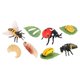 thumbnail image 1 of Juguetes de aprendizaje Strade Fareast Limited ciclo de vida de los animales Estilo A, 1 of 5