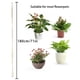 thumbnail image 5 of Soporte para macetas, macetero colgante de cuerda de cáñamo, colgador de plantas, aspecto llamativo, 5 of 5