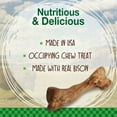thumbnail image 3 of Nylabone Healthy Edibles WILD All-Natural Long Lasting Chew Treats Bison Medium (2 Count), 3 of 13