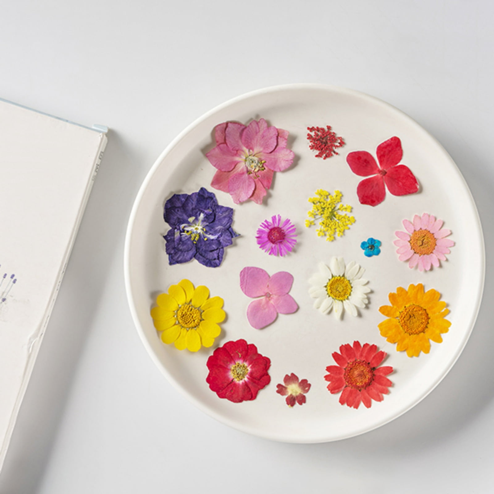 140Pcs Large Dried Pressed Flowers for Resin Molds, Real Dry Natural Flower Leaf for Crafts Scrapbooking, with Tweezers for Candle Making DIY Jewelry Crafts, Soap Making, Cake Decor, Glass Frame