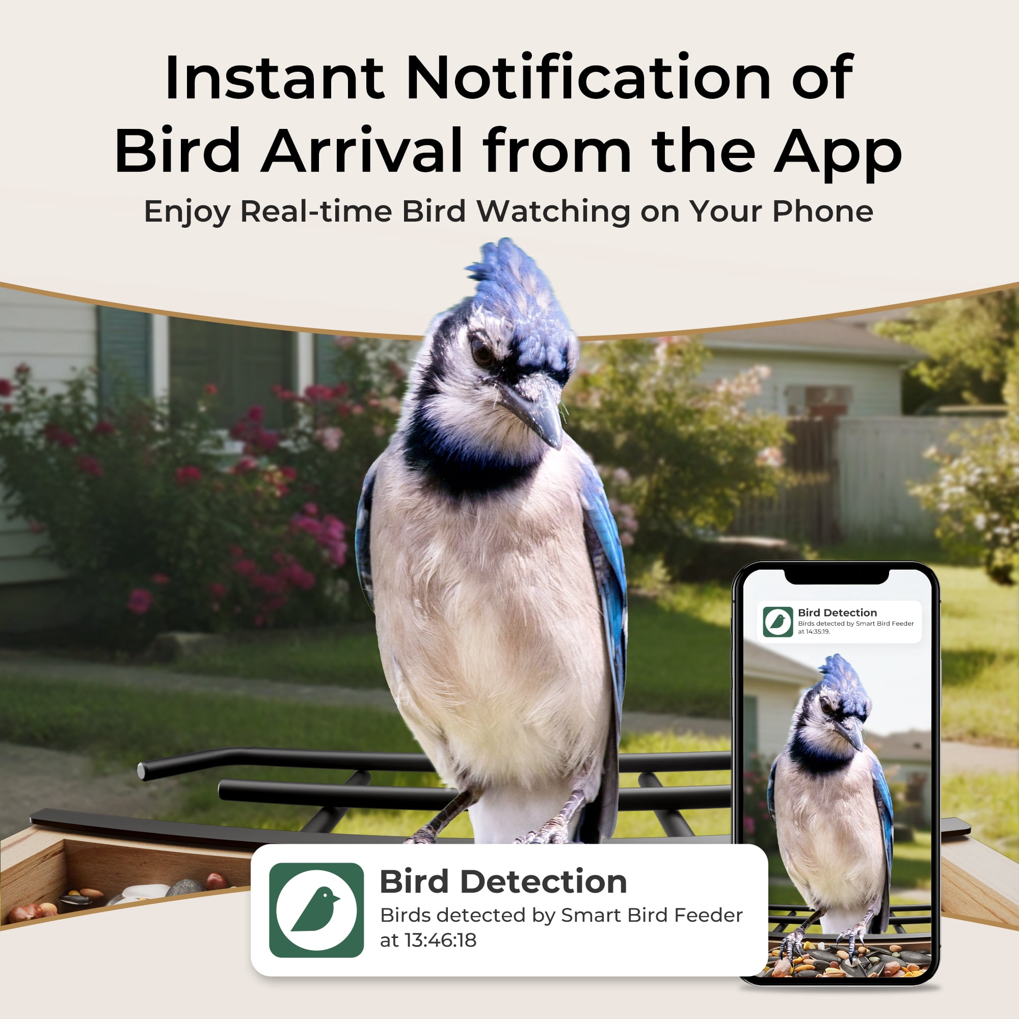 TT Nature Smart Bird Feeder with Camera Solar Powered, AI Identify 10000+ Birds, Weatherproof , Eco-friendly Wooden, Ideal Gift for Bird Lovers