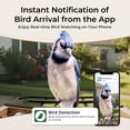 thumbnail image 4 of TT Nature Smart Bird Feeder with Camera Solar Powered, AI Identify 10000+ Birds, Weatherproof , Eco-friendly Wooden, Ideal Gift for Bird Lovers, 4 of 10