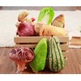 thumbnail image 4 of Cute Small Plush Stuffed Toy Sofa Bed Decorative Vegetables Throw Pillow, Potato, 4 of 5