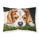 thumbnail image 1 of ""Caroline'S Treasures Funda De Almohada Estándar Cavalier Spaniel En La Hierba Amb1395Pillowcase Multicolor"", 1 of 1