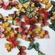 thumbnail image 2 of Inteprter 100 piezas botones de mariposas de dibujos animados sujetadores de ropa decoraciones botón de Type3 NO3, 2 of 6