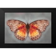 thumbnail image 2 of Reynolds, Richard 24x17 Black Modern Framed Museum Art Print Titled - Common Red Glider, 2 of 5