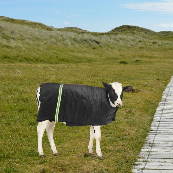 PBPBOX Black Cow Calf Winter Vest Easy Wear Warm Coat for Farm Animal Comfort