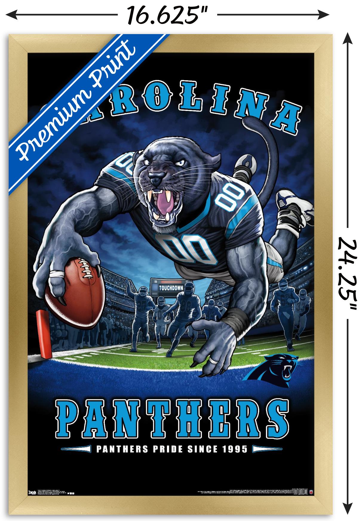 NFL Carolina Panthers - End Zone 17 Wall Poster, 14.725" x 22.375", Framed