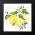 thumbnail image 2 of Robinson, Carol 15x15 Black Modern Framed Museum Art Print Titled - Lemon Squeeze II, 2 of 5