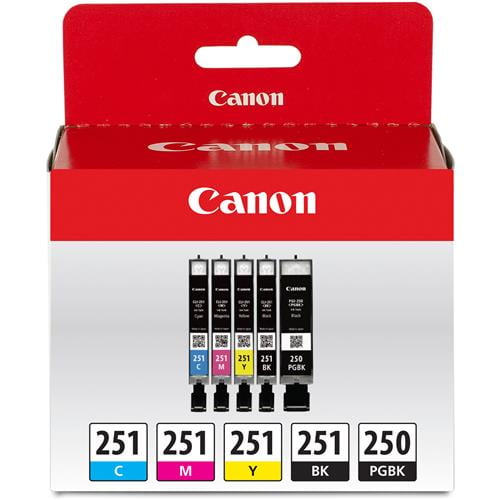 What Canon Printers Use 250 And 251 Ink