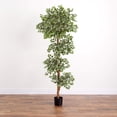 thumbnail image 4 of Nearly Natural Arbre en Soie de Ficus Varié de 6 Pi, 4 of 4