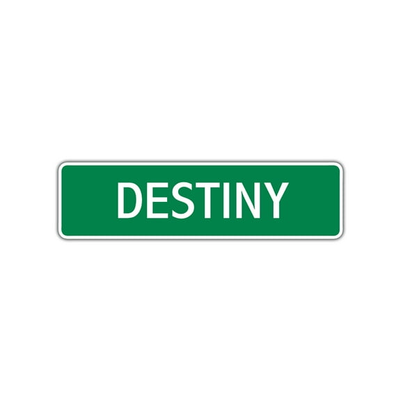 Destiny Girls Children Name Indoor Outdoor Letter Printed Label Wall Plaque Decoration Aluminum Metal Sign 4"x13.5"