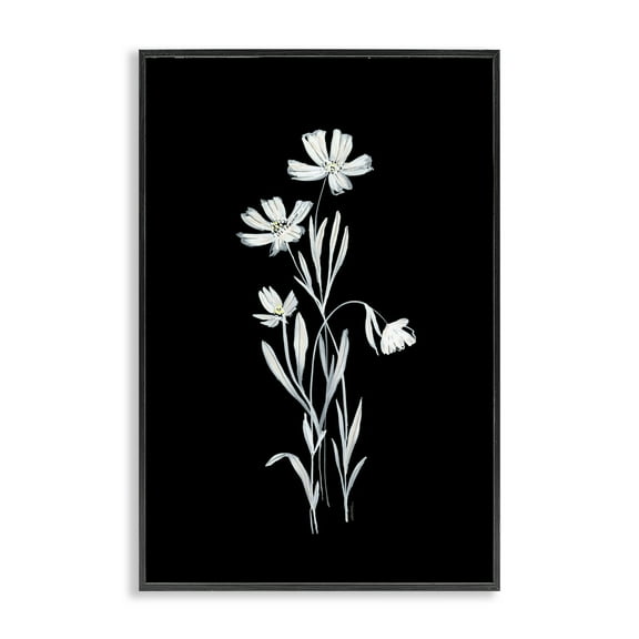 Stupell Industries Tall Stems on Black Plants & Flowers Painting Black Framed Art Print Wall Art, 12 x 18
