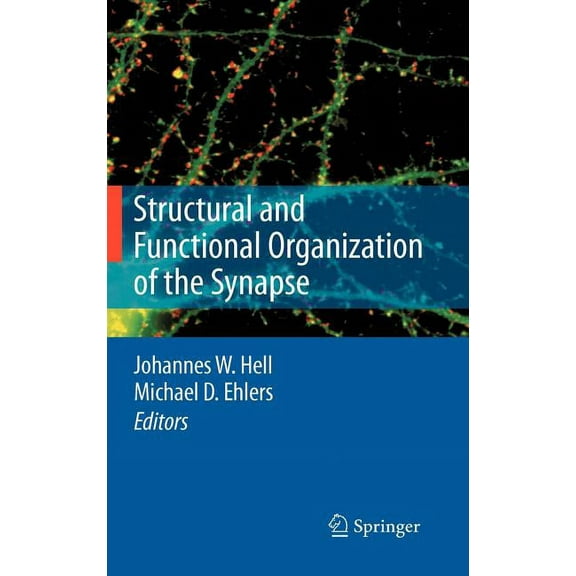Structural and Functional Organization of the Synapse, (Hardcover)