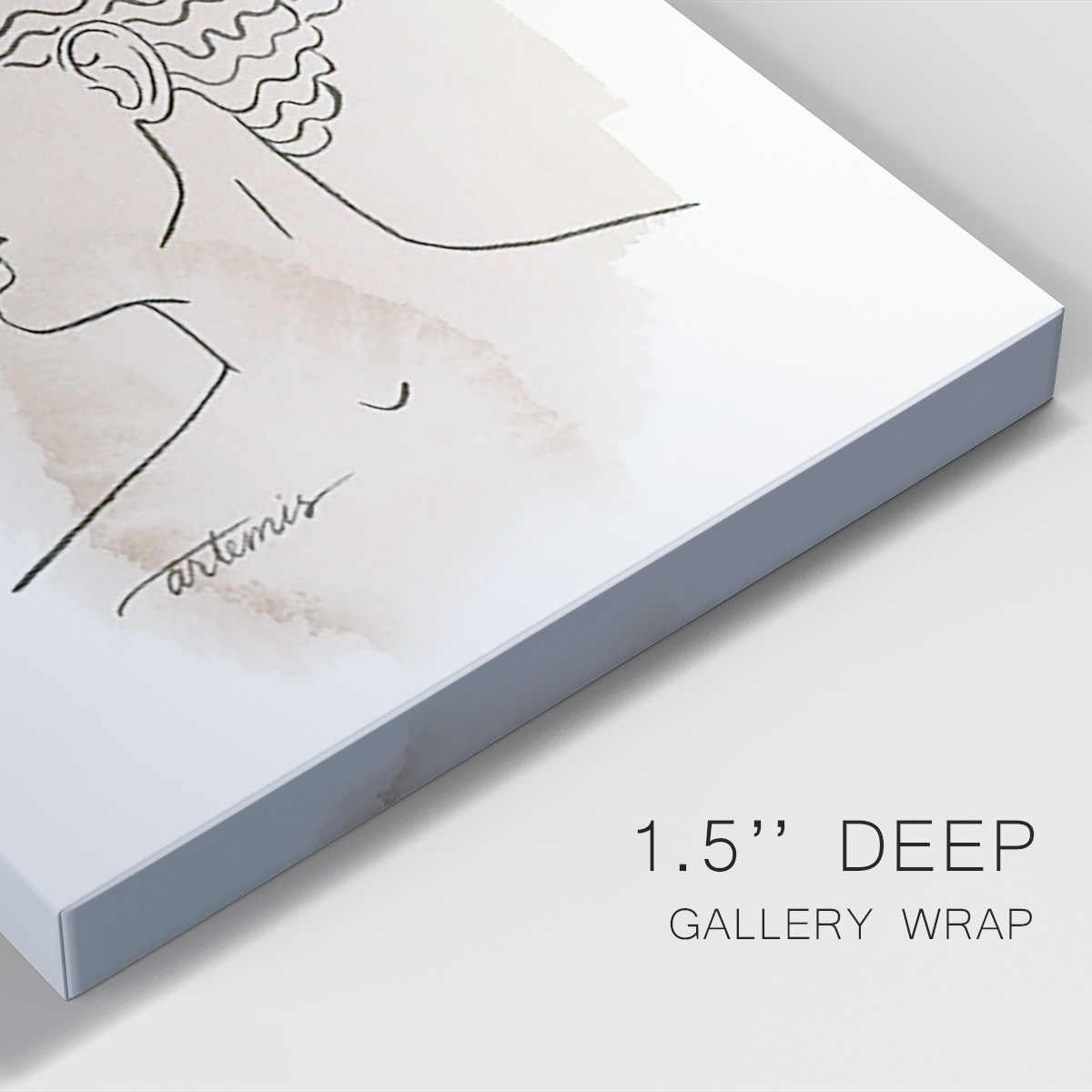 Greek Busts VI Premium Gallery Wrapped Canvas - Ready to Hang