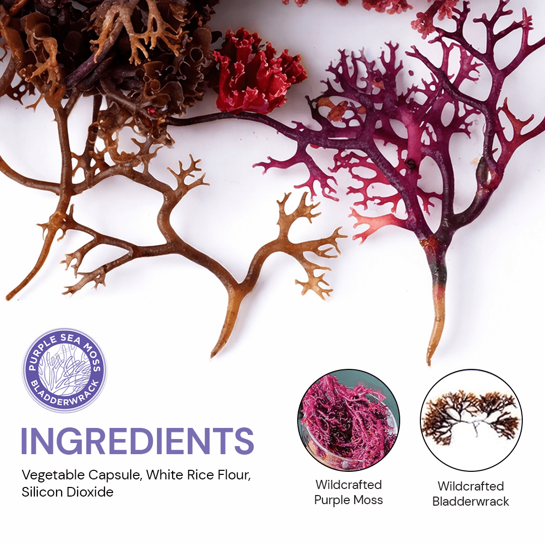 Purple Seamoss + Bladderwrack Seaweed Capsules - 2202mg Complete Nutrient Profile, Wildcrafted & Wildharvested, Made in the USA, Rich in Minerals, 60 ct