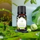 thumbnail image 1 of Perfumes para hombre Perfumes de mujer Aceite de aromaterapia de grado terapéutico soluble en agua 10ML, 1 of 6