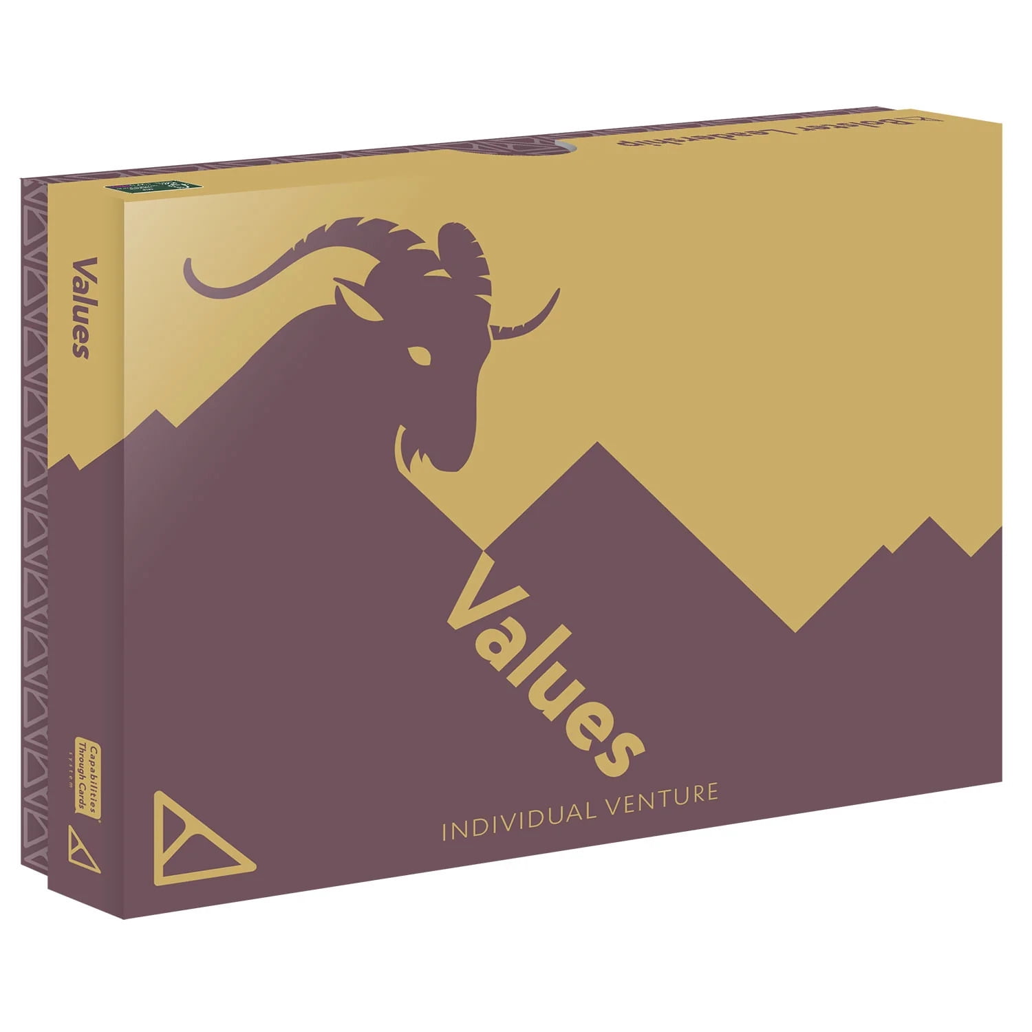 Bolster Leadership + Values Individual Venture + ThoughtProvoking