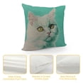 thumbnail image 4 of Qinduosi Pet Pillow Cover White Angora Cat Throw Pillow Covers Green Pillowcovers Soft Double Side Print Sofa Linen Square Throw Pillowcover inch for Living Room Bedroom Car Decor, 4 of 5