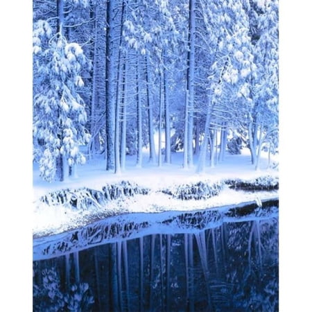 Winter Conifers Merced River Yosemite Valley Ca Poster Print by Scott T. Smith - 25 x 32 in.