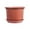 Red, variant on Thick Plastic Plant Pot with Saucer, 7-Inch Indoor Outdoor Flower Planter for Home Garden Decoration, Round Container for Herbs Succulents and Plants(Beige)