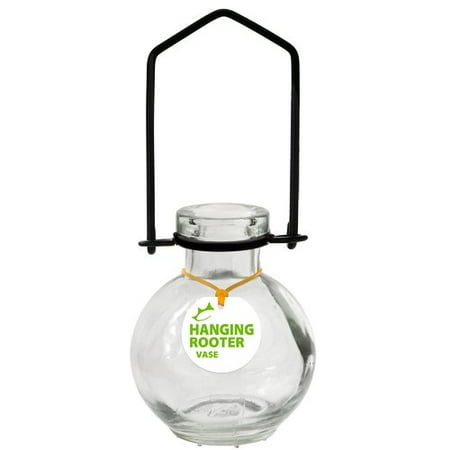 Couronne Hanging Ball Recycled Glass Rooting Wall Vase