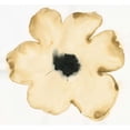 thumbnail image 3 of Novak, Shirley 16x15 Black Modern Framed Museum Art Print Titled - Suede Fleur II, 3 of 5