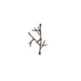 thumbnail image 2 of Ancient Graffiti Twig Hanging Hook, Gray, 8.75"H, 2 of 2