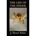 thumbnail image 4 of la Vie de l'Araignée, 4 of 4
