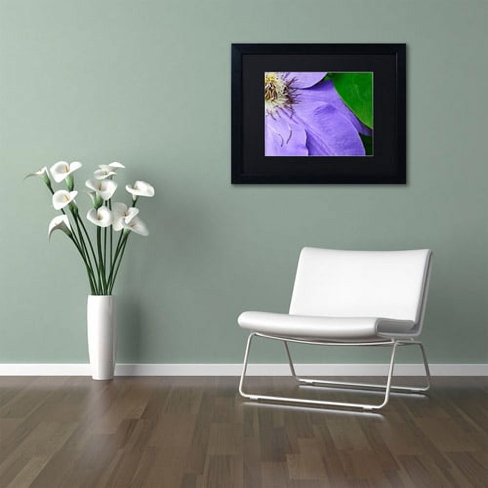 Trademark Fine Art "Clematis Abstract" Canvas Art by Kurt Shaffer Black Matte, Black Frame