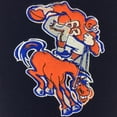 thumbnail image 2 of Denver Broncos 8" x 32" Premium Heritage Banner, 2 of 3