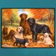 thumbnail image 3 of Taladro Perro Bordado Cruz Puntada Diamante Cgtredaw Conjuntos A225, 3 of 9