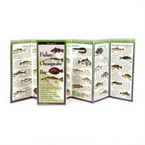 FoldingGuides: Fishes of the Chesapeake Bay (Other)