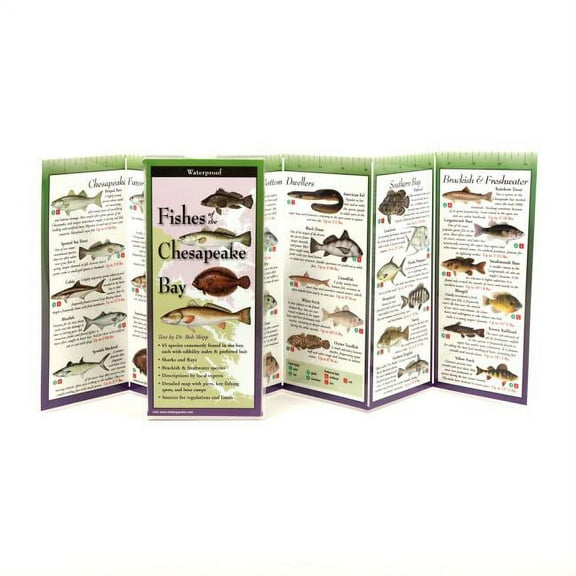 FoldingGuides: Fishes of the Chesapeake Bay (Other)