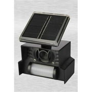 P3 International P7815 Sol Mate Solar Animal Chaser