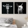thumbnail image 2 of PixonSign Canvas Print Wall Art High Contrast Giraffe & Llama Close-Up Animals Wildlife Photography Realism Romantics Dramatic Dark Black and White for Living Room, Bedroom, Office - 24"x24" x 2, 2 of 5